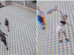 В Волгограде установили личности школьников, гуляющих с дохлой кошкой