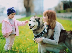 11 марта в Волгограде пройдет «Лохматая уборка» — субботник и шоу-программа для любителей собак