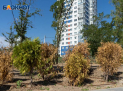 Свет отключили в семи районах Волгограда