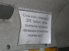 Черный юмор маршрутчика обсуждают жители юга Волгограда