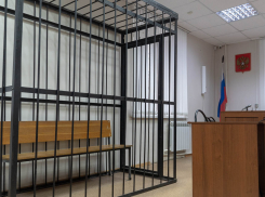 Бюджет оплатит поездки общественников к недовольным зекам Волгоградской области