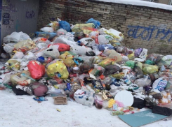 Вывоз мусора подешевеет на 9 рублей в Волгограде