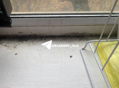 Урожай жирной черной плесени подарил волгоградке месяц прорыва горячей воды