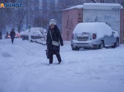 Мороз до -15 и метель: погода в Волгограде и области на 19 января