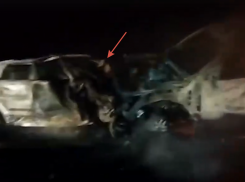 Дочери погибшей под Волгоградом в сгоревшем Changan супружеской пары получат 5 млн рублей 