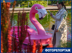Найдено сногсшибательное место для осенних фотосессий в Волгограде