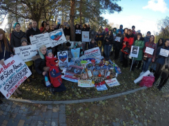 Митинг против живодеров собрал десятки волгоградцев в центре города