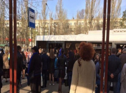 Волгоградцы снова пытаются вернуть маршрутки