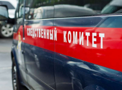 Под Волгоградом женщина разбилась насмерть, упав со сторожевой башни