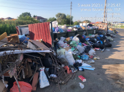 «Ситиматик-Волгоград» признал неизбежность повышения тарифов на вывоз мусора