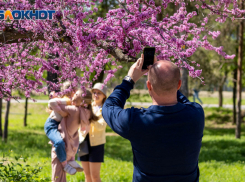 В Волгограде 8 мая ожидается теплая и маловетренная погода