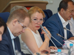 В Волгоградской области глав районов будут выбирать депутаты
