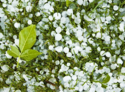 В Волгоградской области пройдет град