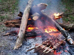 За костры не по правилам на майских праздниках волгоградцев будут штрафовать