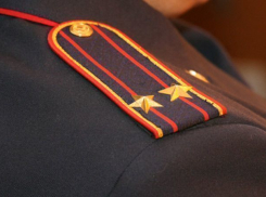 Житель Волгограда пойдет под суд за оторванные с полицейского погоны 