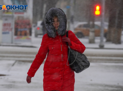 Метель и мороз: погода в Волгоградской области на 25 декабря