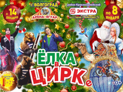 13 метров новогоднего восторга ждут волгоградцев