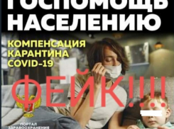 Волгоградцам рассылают фейковые сообщения о выплатах за карантин