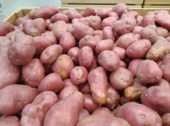 Волгоградцы не верят в статистику: сравнили цены на продукты с январскими и пришли в ужас