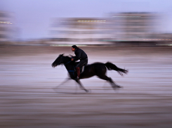 Под Волгоградом 23-летний рецидивист убил приятеля и ускакал на коне
