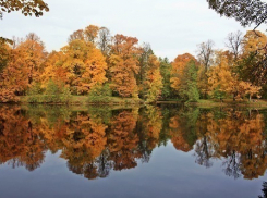 Преодолеть 160 км экскурсионного маршрута жителям Волгограда предлагают в Волго-Ахтубинской пойме
