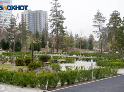 В Волгограде посвятят серию выставок городам-побратимам