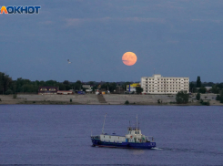 Два района Волгограда 17 ноября останутся без электричества