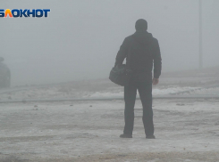 «Платите нормально, никто не будет уезжать»: волгоградцы назвали пять главных претензий к работодателям