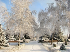 В Волгоградской области ожидается мокрый снег, метели и туман