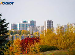 Перемены у Дев и завистники у Рыб: гороскоп на неделю для волгоградцев