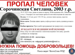 Полиция и волонтеры возобновили поиски без вести пропавшей под Волгоградом 16-летней девочки