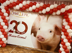 Топовый волгоградский агрокомплекс открестился от штрафа в 15 миллиардов к своему 20-летию