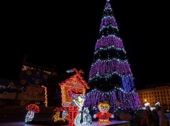 Установка главной елки Волгограда начнется 12 декабря