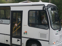 Сладко дремлющий за рулем автобуса волгоградец попал на фото