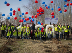«Сиреневая аллея» появилась в Волжском благодаря пивоварам