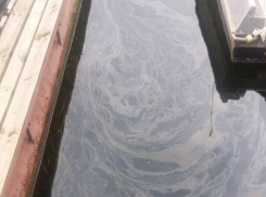 Забили тревогу из-за сильного разлива нефти на Волге в Светлом Яру