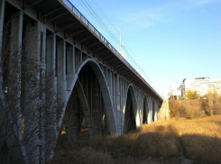 Опрос «Блокнота Волгоград»: согласны ли вы с проектом благоустройства Царицынской поймы?