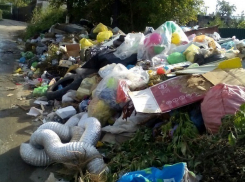 Мусорный апокалипсис настиг жителей Краснооктябрьского районе Волгограда