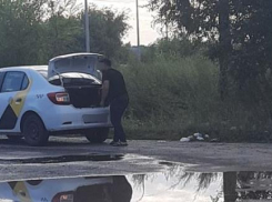 Волгоградку возмутил бросающий мусор на обочину таксист «Яндекса»