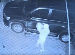 Миллион рублей пообещали волгоградцам за поимку поджигателя ВИП-авто