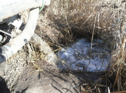 В Волгограде компанию оштрафовали на 125 тысяч за слив отходов 