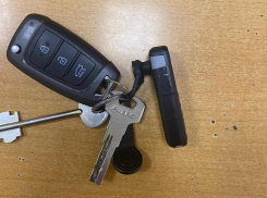 Самого неумелого контрабандиста задержали в СИЗО Волгограда