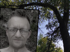 В 350 метрах от трассы: повешенным в лесу под Волгоградом найден пропавший мужчина