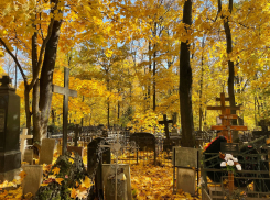 Волгоградская область вошла в ТОП-10 регионов по наибольшему числу смертей от COVID-19