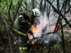 Вертолёты МЧС приостановили тушение пожара под Волгоградом до утра