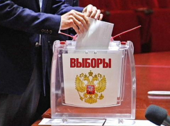 Большинство горожан не верят в честные выборы в Волгограде
