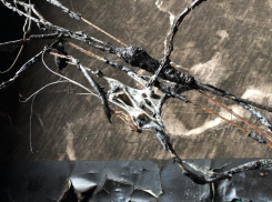 Из-за загоревшегося электрощитка в Волгограде эвакуировали 40 жильцов