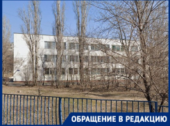 С убойной плесенью и падающими плафонами учатся дети в школе №6 Волгограда