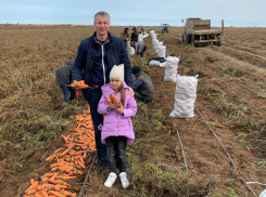 Волгоградский депутат Госдумы одним снимком развеял мифы о плохом урожае в этом году