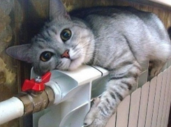 Власти Волгограда опровергли информацию о включении отопления 15 октября